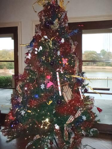 CMAS Tree for Children