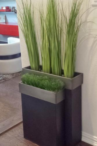 avg-trees-plants-pots-107